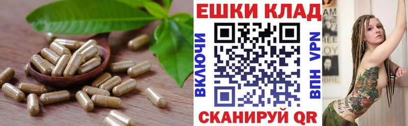 OMG зеркало  Альметьевск  Экстази TESLA 