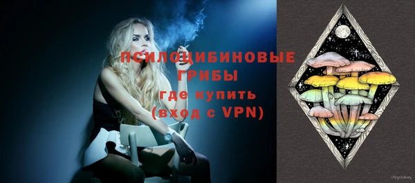 хмурый Лагань