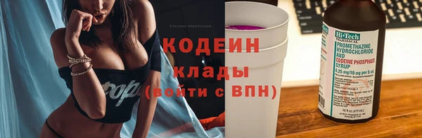 хмурый Лагань