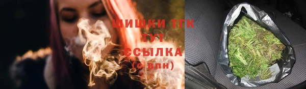 хмурый Лагань