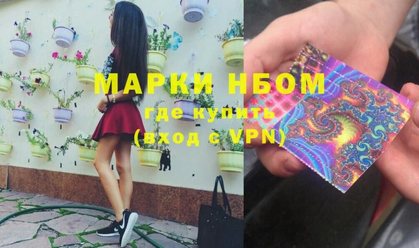 хмурый Лагань