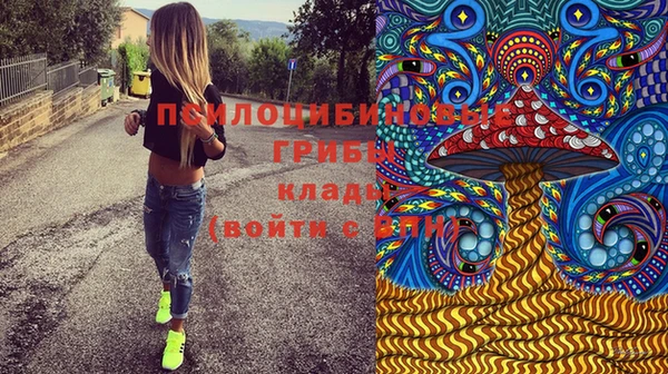 трава Ладушкин