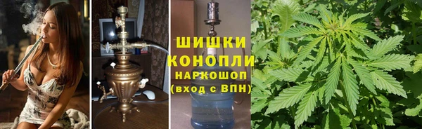 трава Ладушкин