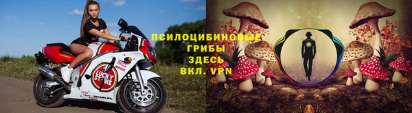 трава Ладушкин