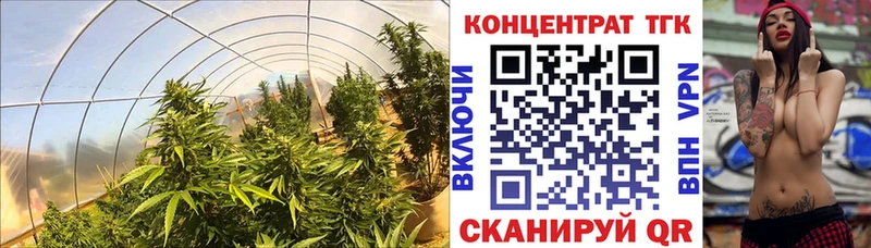 даркнет сайт  Альметьевск  ТГК THC oil 