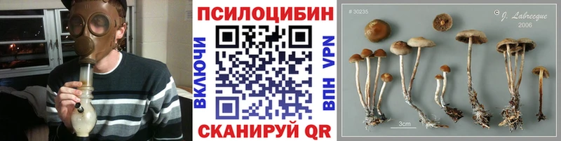 Псилоцибиновые грибы Magic Shrooms  Альметьевск 