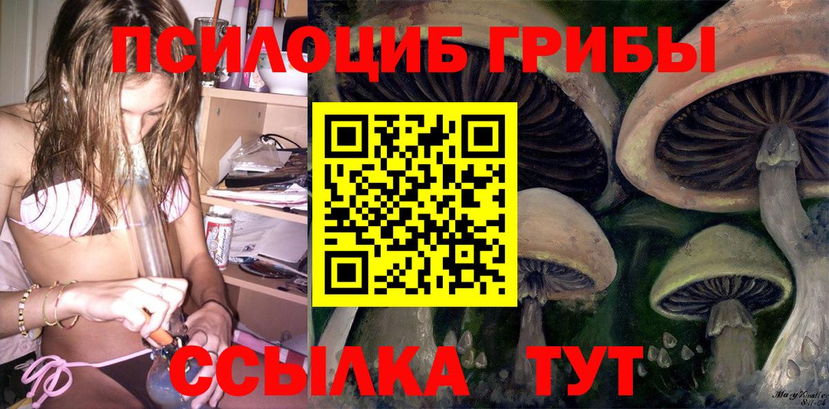 Галлюциногенные грибы мицелий  Псилоцибиновые грибы MAGIC MUSHROOMS  Вход с VPN  Альметьевск 